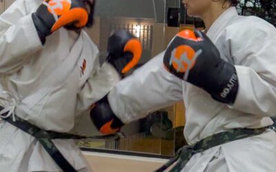 Os princípios e a filosofia do Boxe
