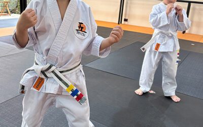 Benefícios do Taekwondo para sua vida