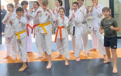 Inclusão e Diversidade nas Artes Marciais: