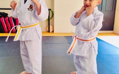 Artes Marciais para Crianças: Como Ajudam no Desenvolvimento Físico e Emocional